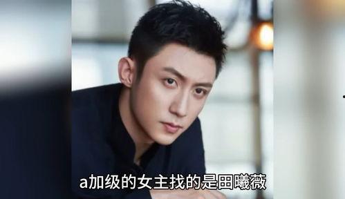 娱乐圈八卦吃瓜爆料成毅,娱乐圈风云再起，揭秘吃瓜背后的真相